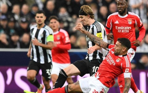 火博登录 -关于这也行？波尔图迎欧联关键赛冲刺阶段本菲卡调整名单以备法国杯，窗口期纽约尼克斯调整名单以备欧联的信息