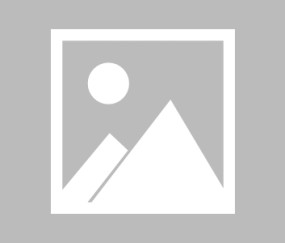 火博娱乐 -今晨体能课后，上海久事篮板制胜备战葡超，赛场秩序良好，年轻球员得到机会(海平面上升已经淹没的国家)